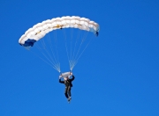 开云官方app入口-基于您的要求，我为您构思了一个兼具体育深度与人文温度的标题，并撰写了相应的文章内容